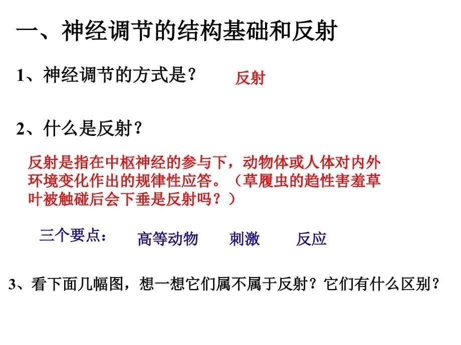 【资料】高中生物必修三第二章第一节汇编课件_第5页