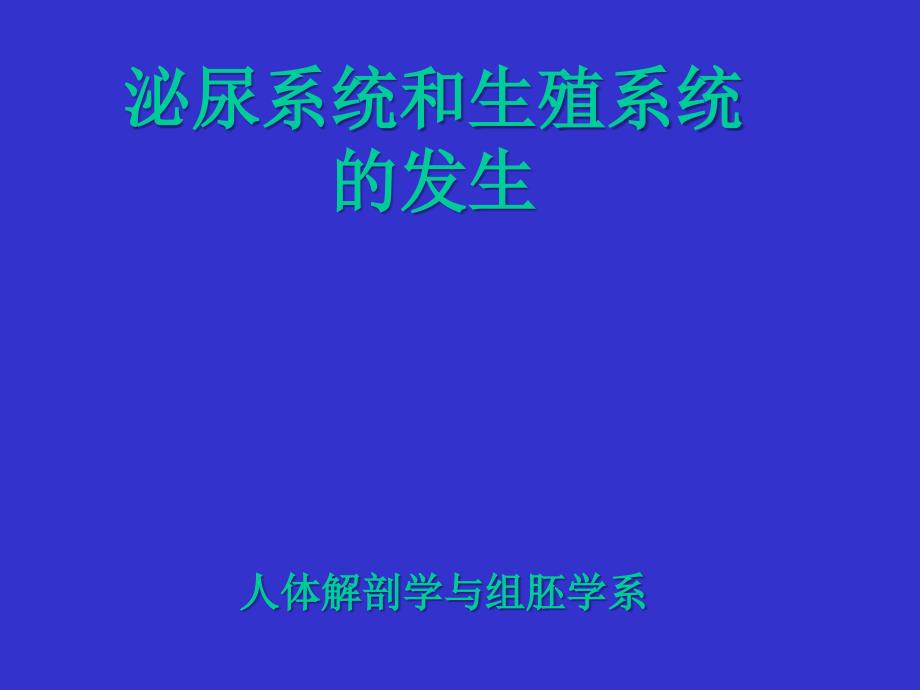 组织学与胚胎学课件：CH24 泌尿系统和生殖系统的发生_第1页