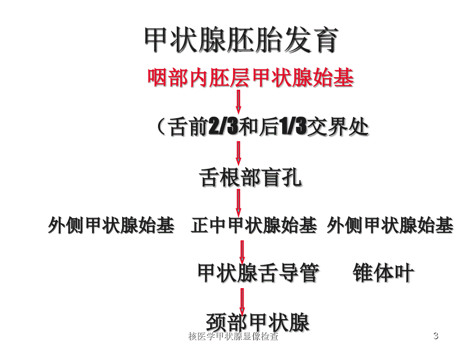 核医学甲状腺显像检查课件_第3页