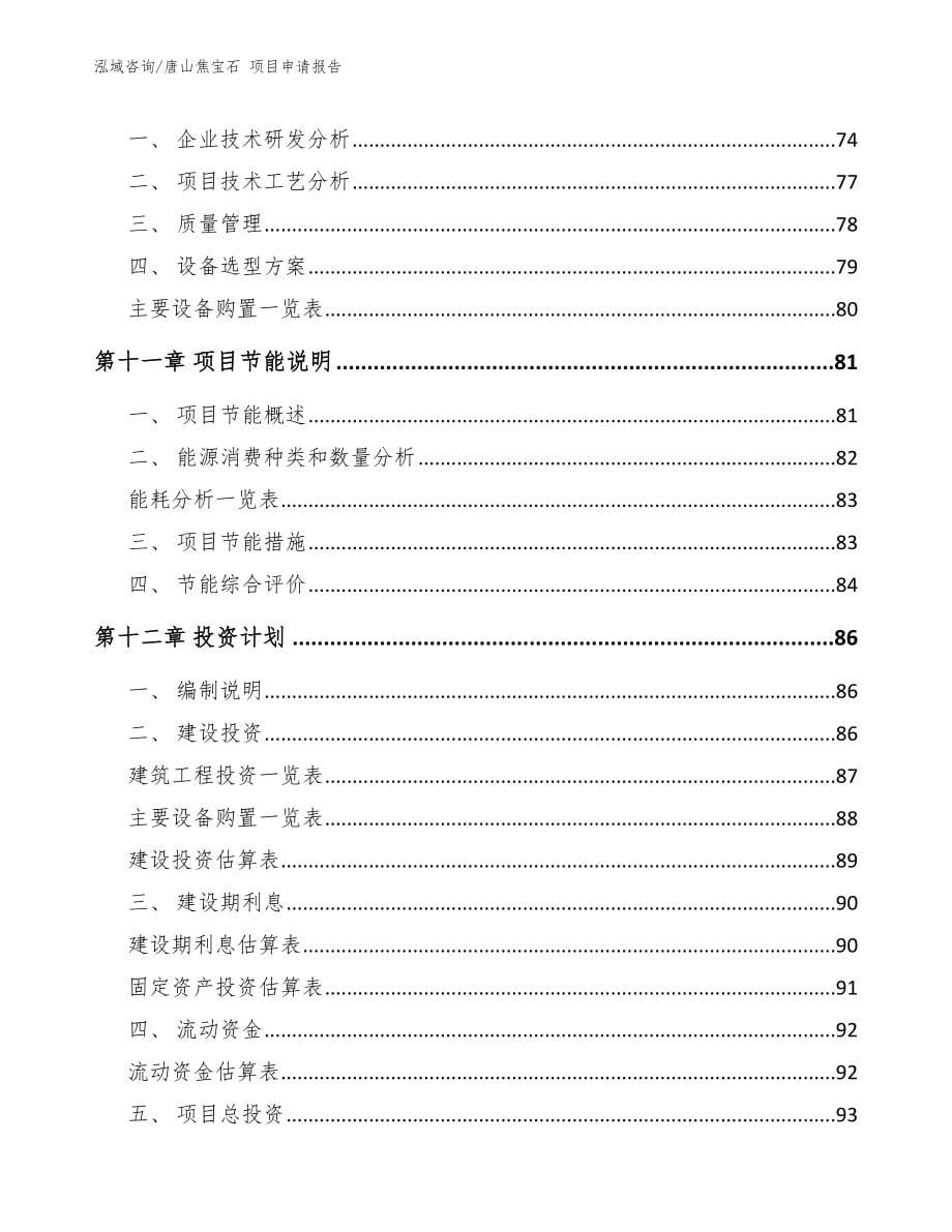 唐山焦宝石 项目申请报告模板范本_第5页