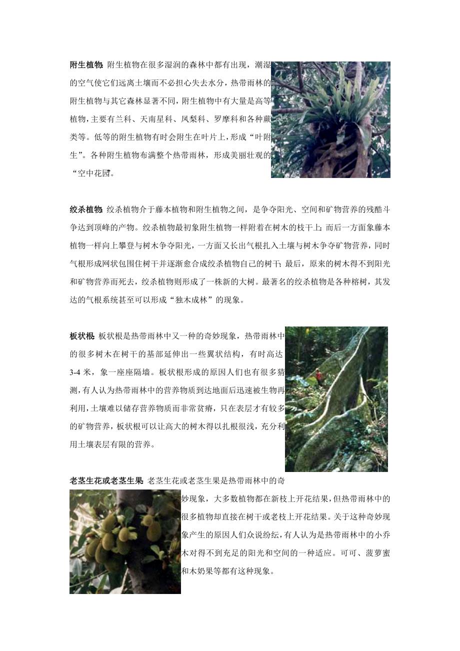 花卉栽培学教案25-热带雨林介绍_第3页