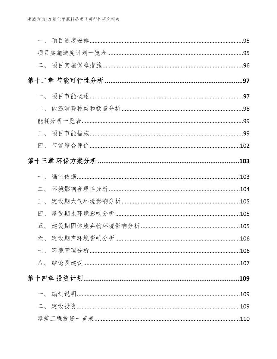 泰州化学原料药项目可行性研究报告范文_第5页