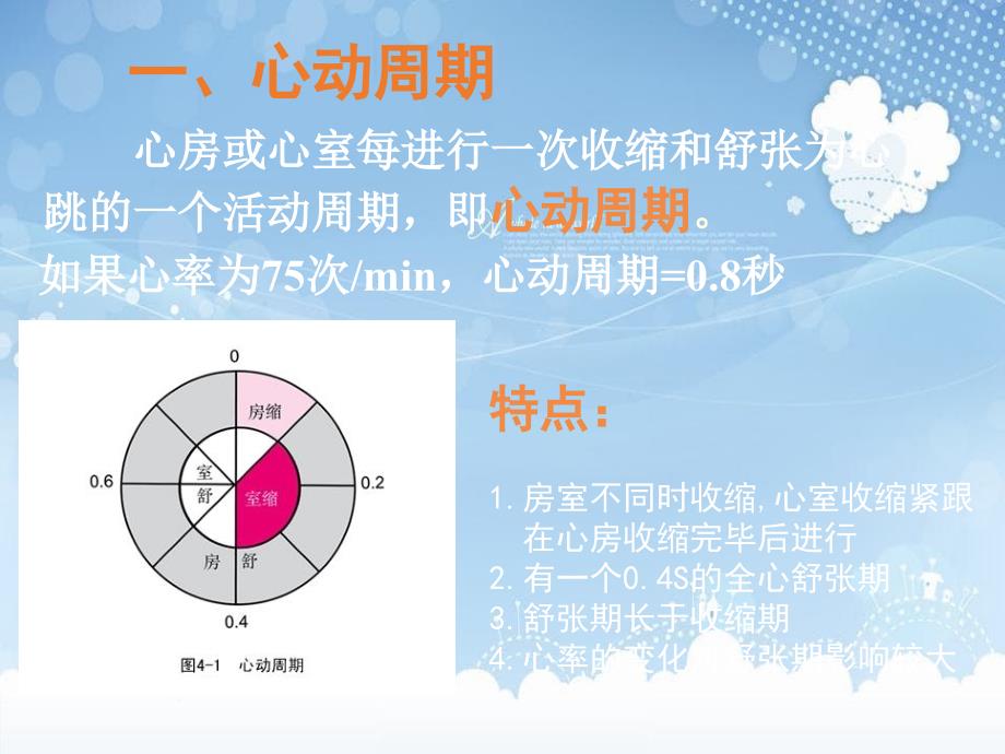 生理学课件3心血管生理学_第3页