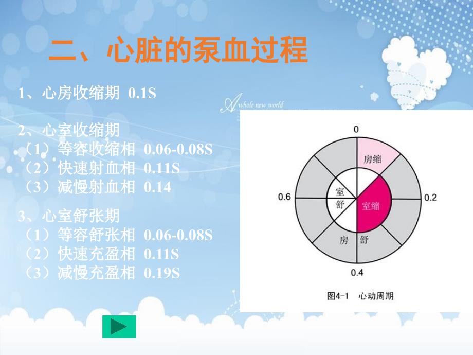 生理学课件3心血管生理学_第4页