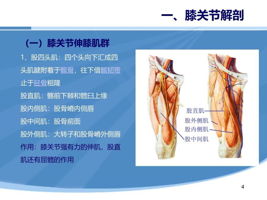 膝过伸治疗PPT课件_第4页