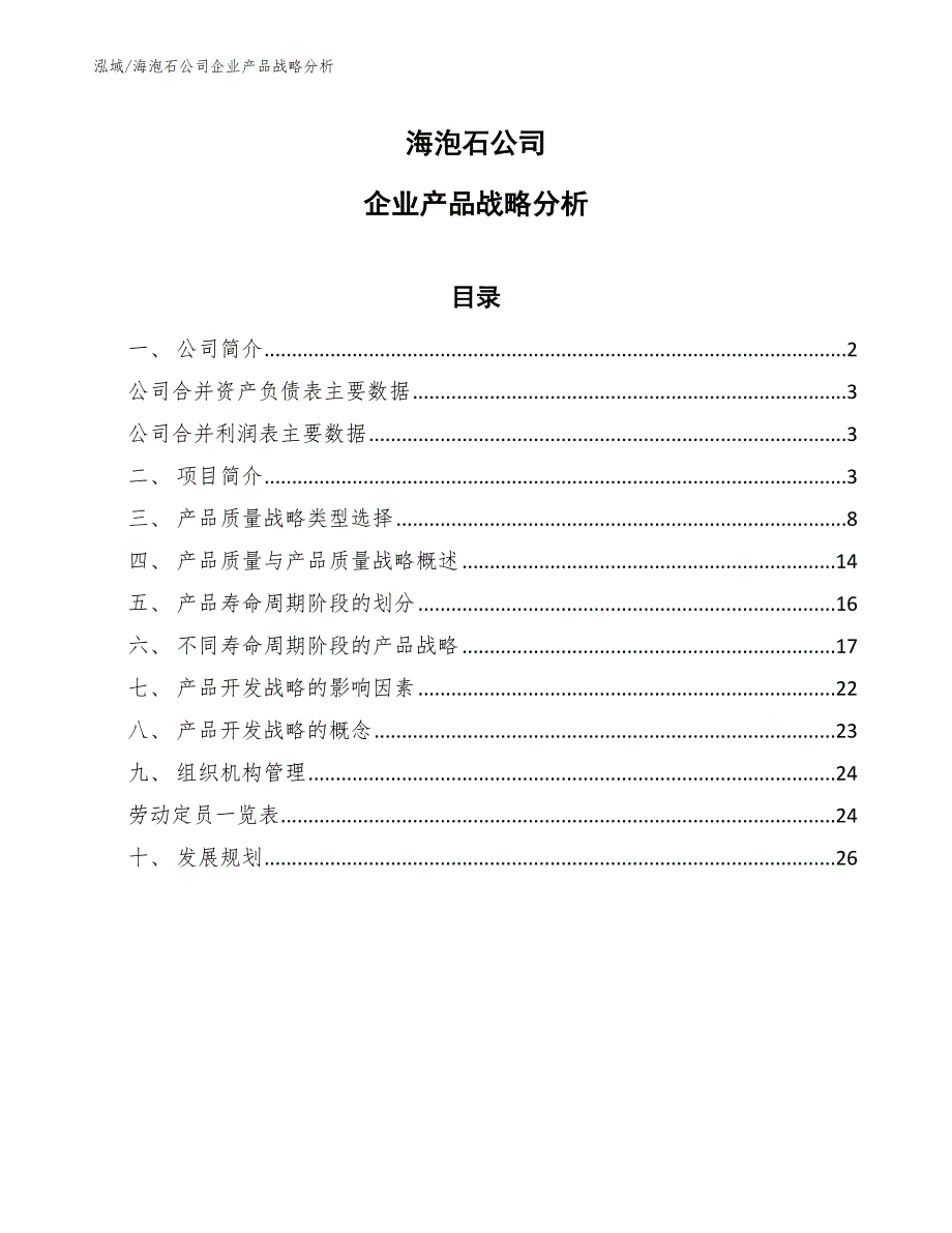 海泡石公司企业产品战略分析（参考）_第1页