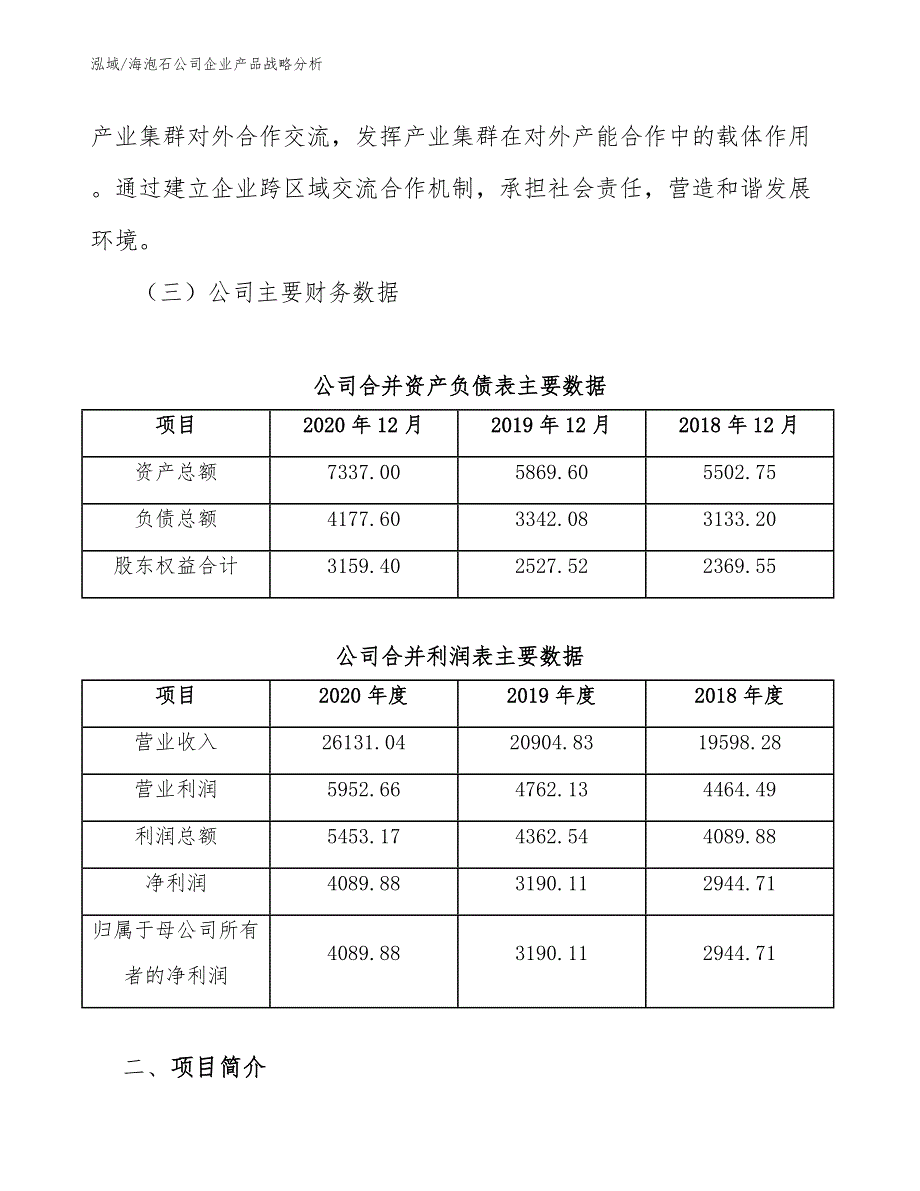 海泡石公司企业产品战略分析（参考）_第3页