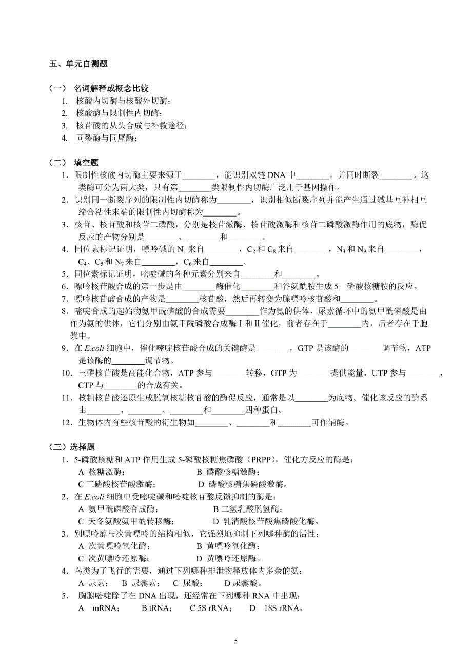 12 第12章核酸的降解和核苷酸代谢.doc_第5页