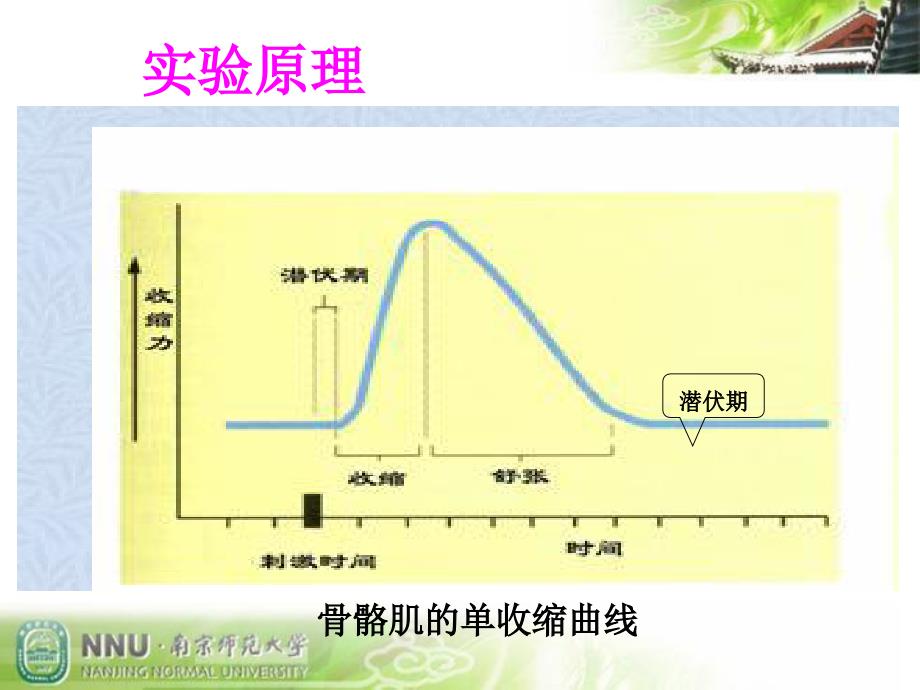 实验1刺激强度和频率对骨骼肌收缩的影响_第3页