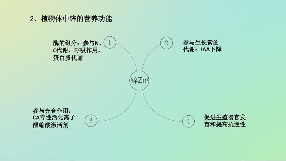 动物植物体系中锌的含量及分布_第5页