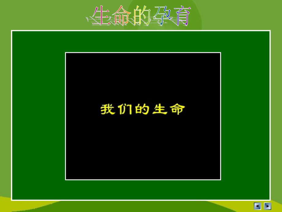 我们的生命 课件 周娣梅_第2页