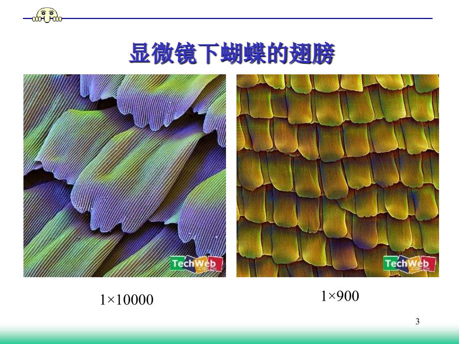 实验一显微镜测微目镜的结构和使用_第3页