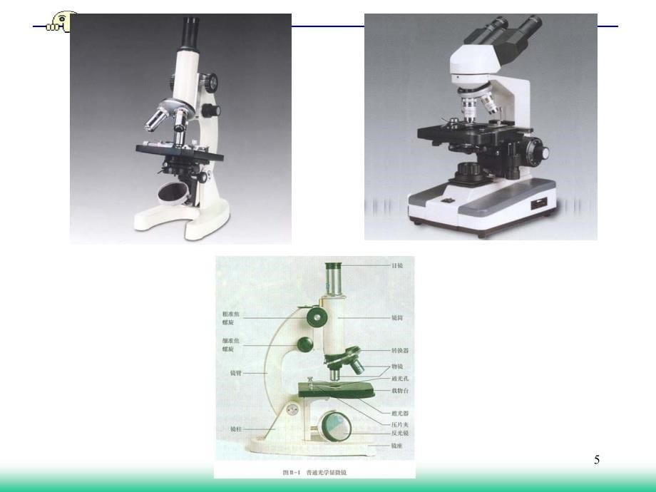 实验一显微镜测微目镜的结构和使用_第5页