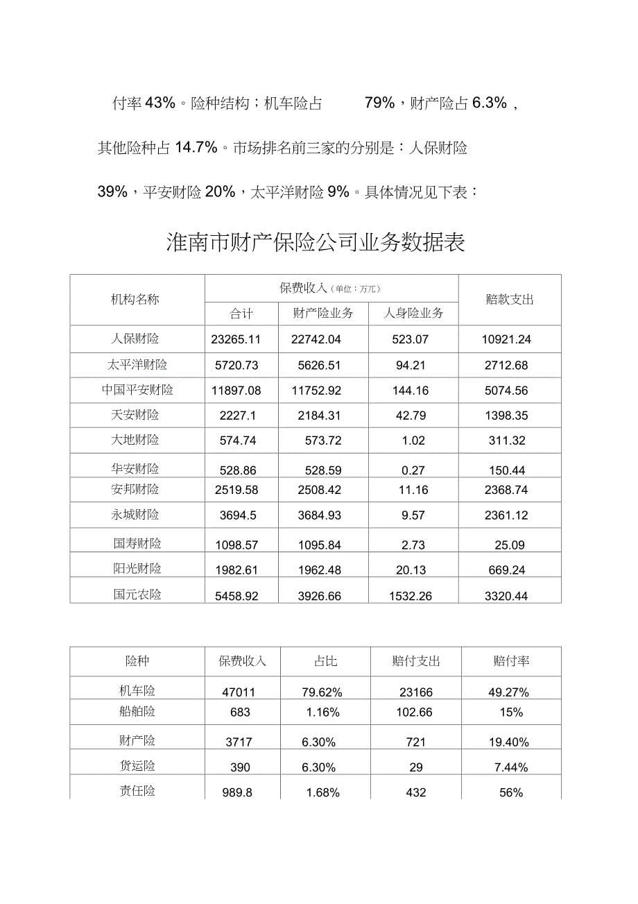 太平财险三年规划详解_第5页