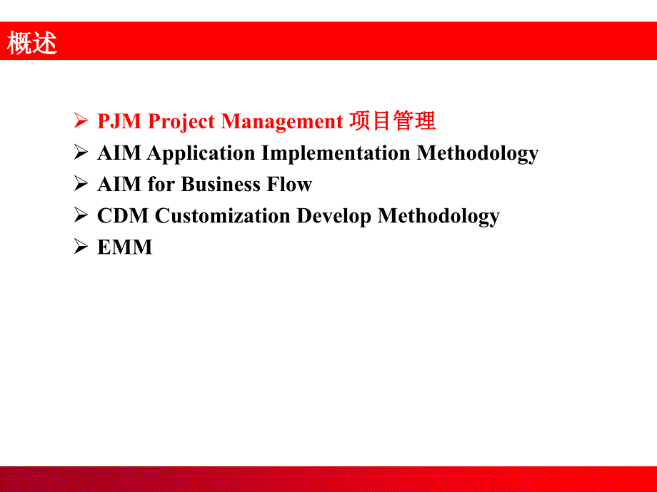 PJMAIMOracle实施方法论课件_第3页
