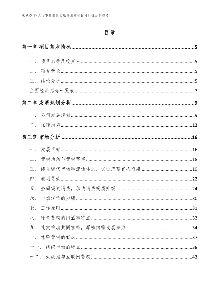 大冶市养老育幼服务消费项目可行性分析报告模板参考_第1页