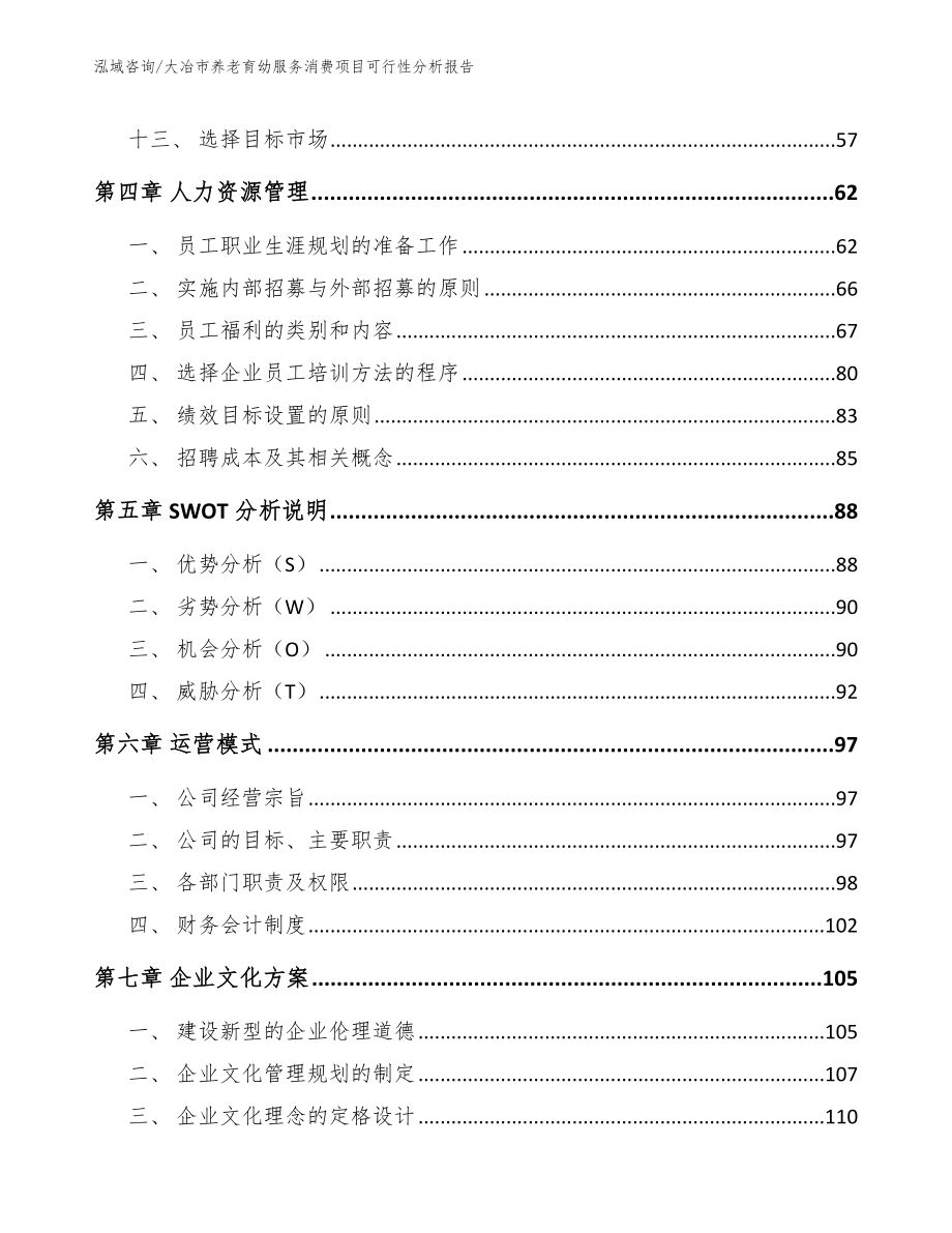 大冶市养老育幼服务消费项目可行性分析报告模板参考_第2页