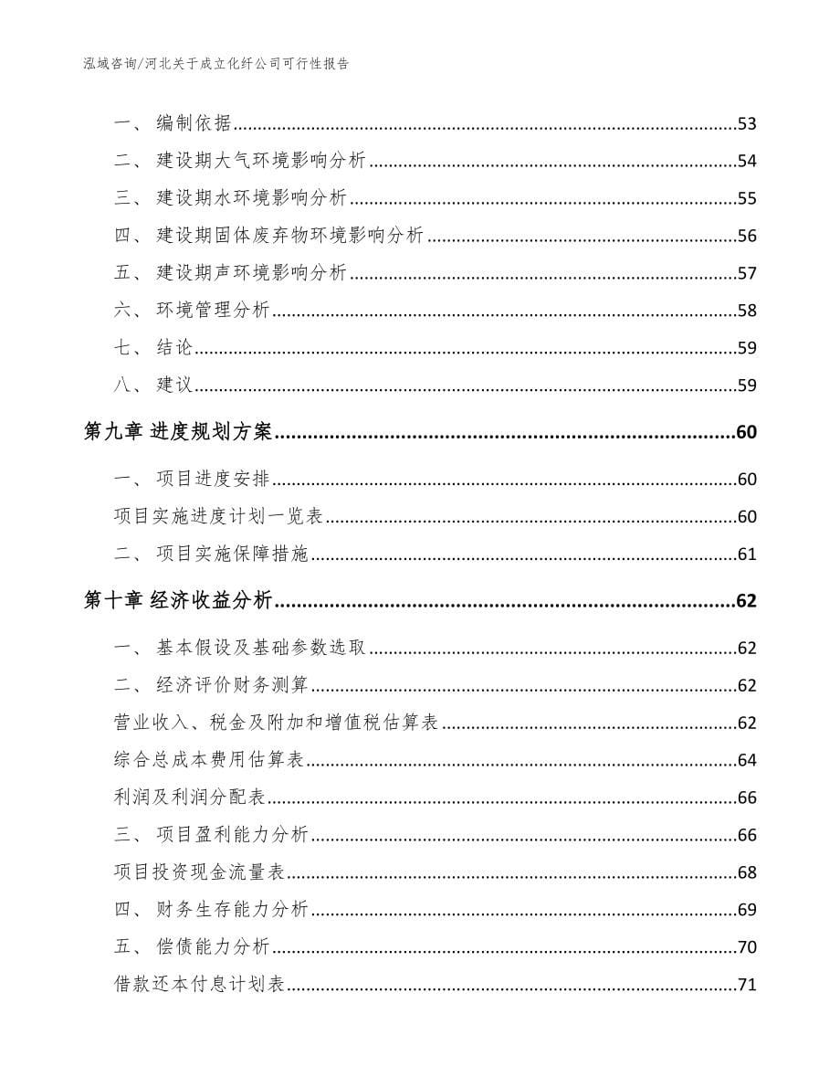 河北关于成立化纤公司可行性报告范文模板_第5页