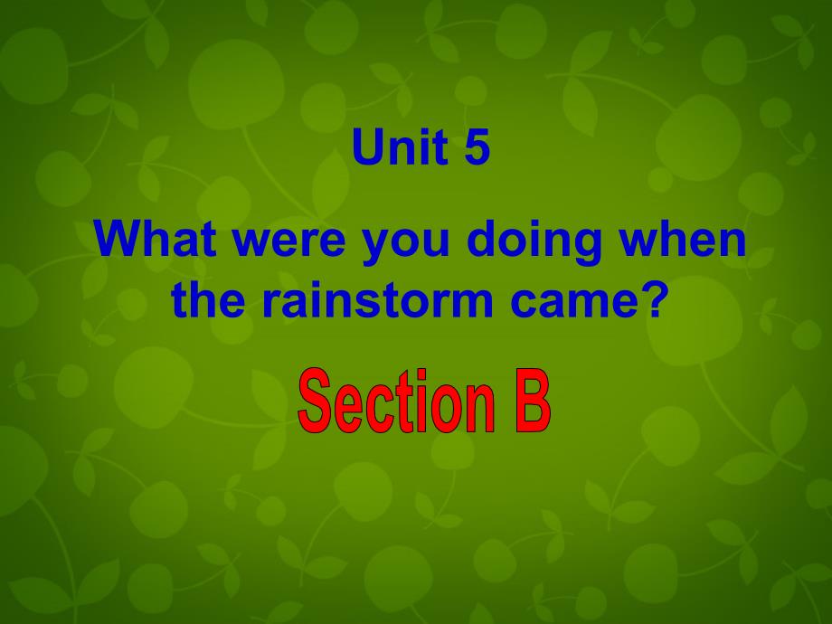 八年级英语下册 Unit 5 What were you doing when the rainstorm came Section B课件_第2页