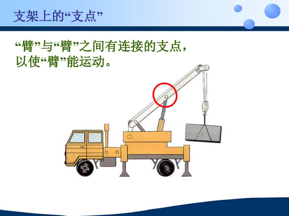 动物的运动PPT_第4页