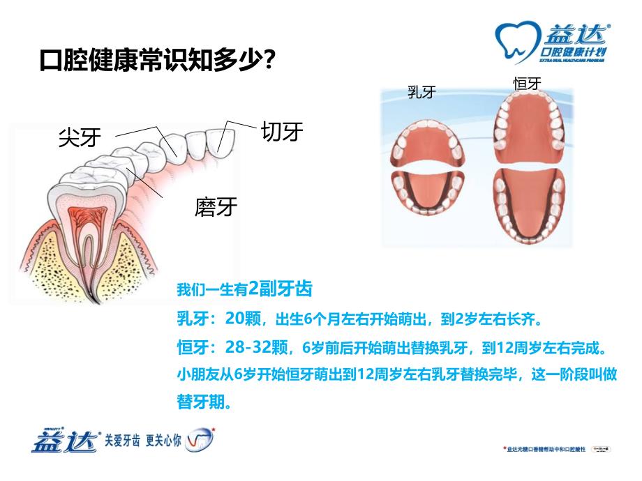 口腔健康知识学习_第4页