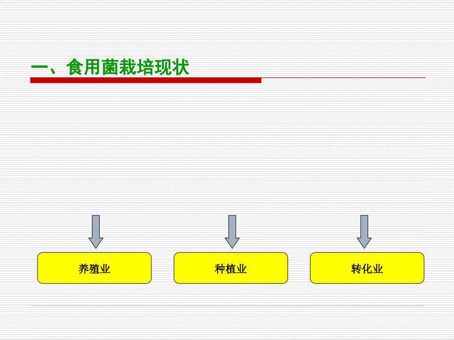 食用菌现状及标准化栽培技术ppt课件_第4页