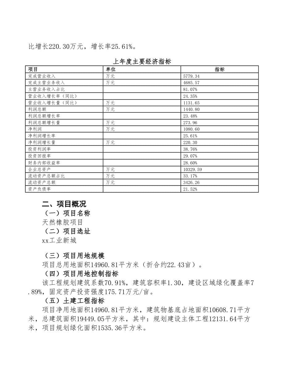 天然橡胶项目规划方案(DOC 63页)_第5页