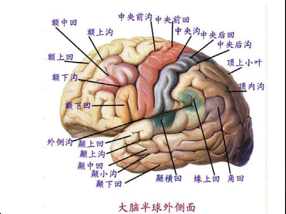 言语交流障碍护理严选材料_第5页