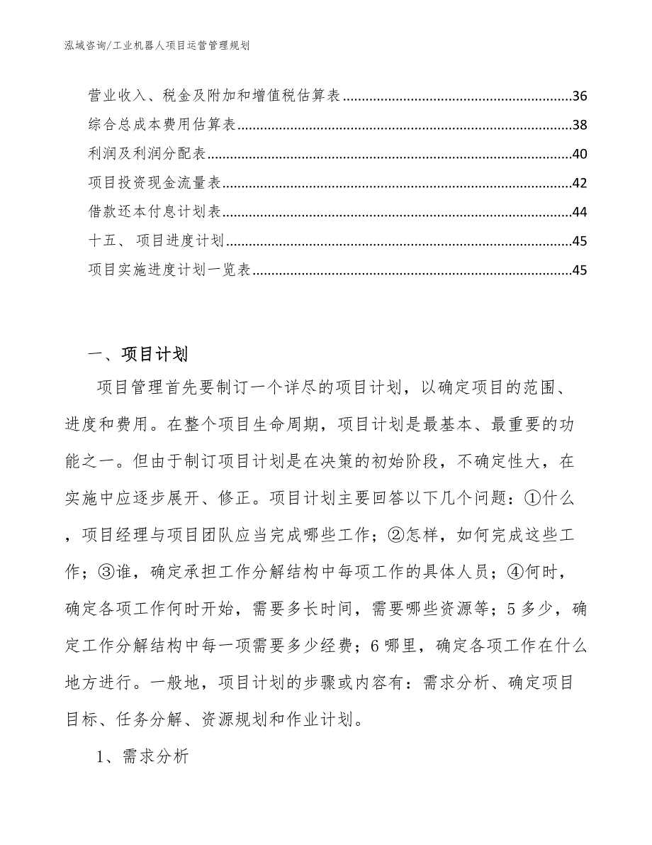 工业机器人项目运营管理规划_第2页