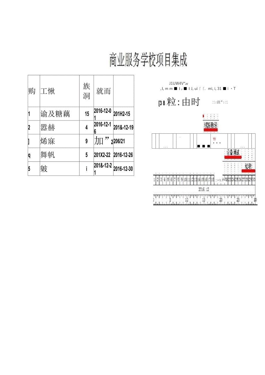 学校信息系统集成实施方案_第5页