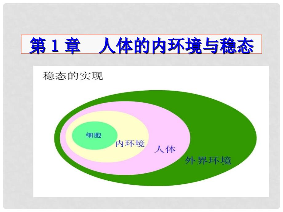 高中生物《第一章 第一节 细胞生活的环境》课件3 新人教版必修3_第2页