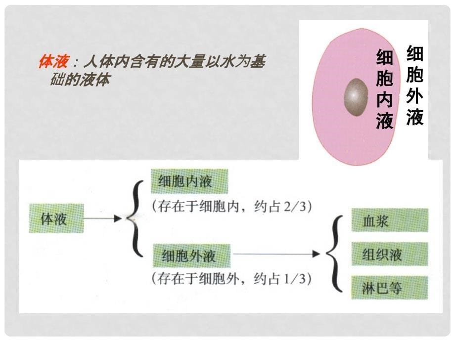 高中生物《第一章 第一节 细胞生活的环境》课件3 新人教版必修3_第5页