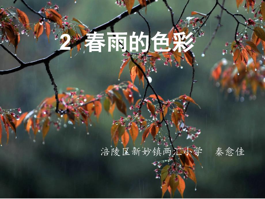 春雨的色彩课件_第1页