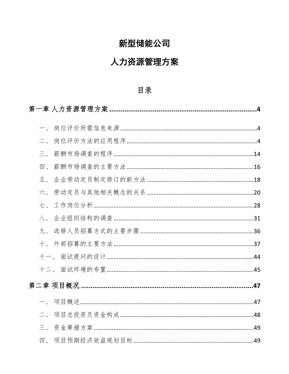 新型储能公司人力资源管理方案_第1页