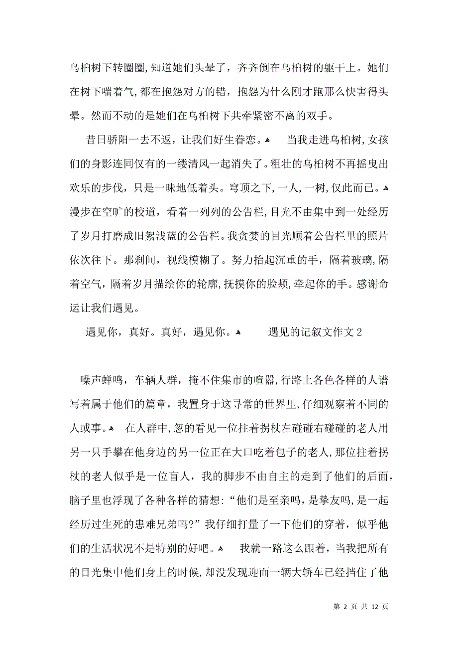 遇见的记叙文作文_第2页