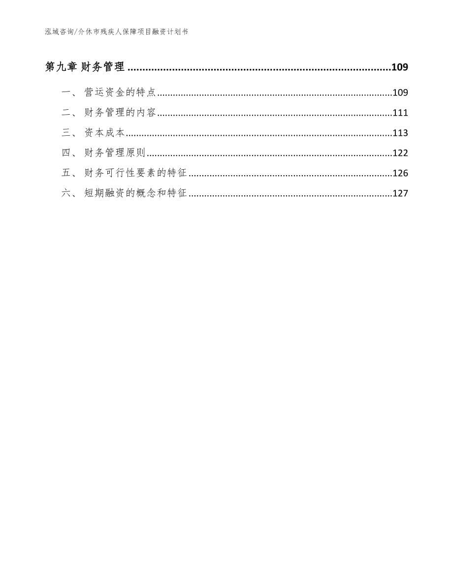 介休市残疾人保障项目融资计划书范文模板_第5页