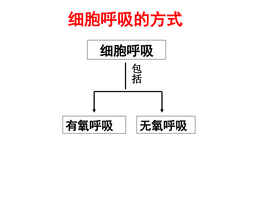 细胞有氧呼吸_第2页