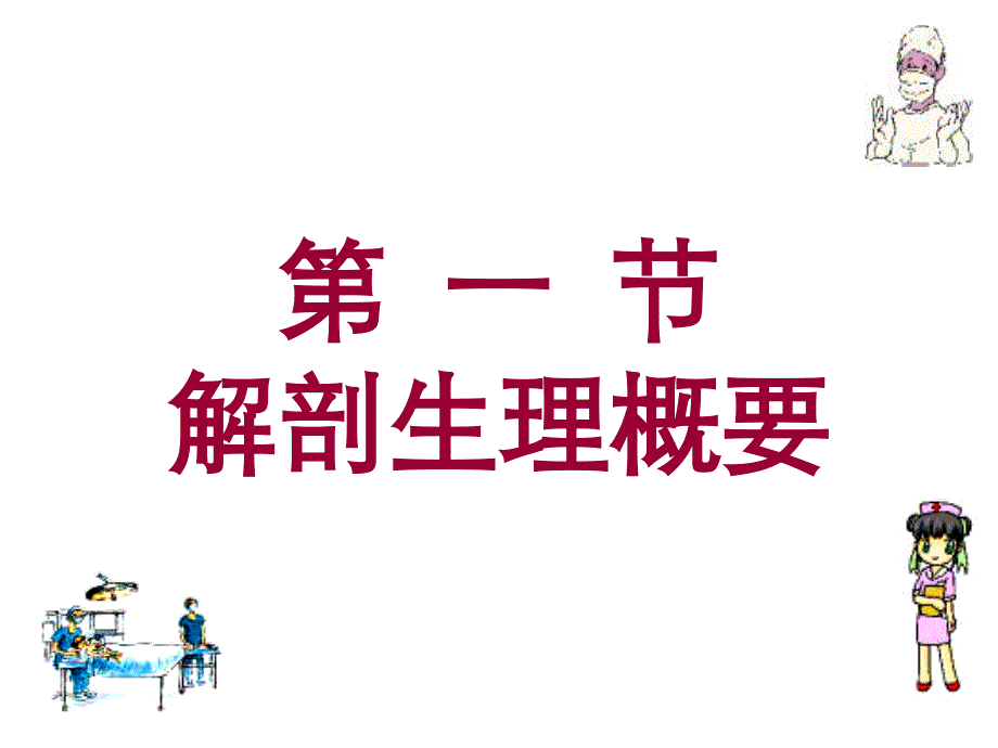 医学课件第二十二章阑尾炎病人的护理_第2页