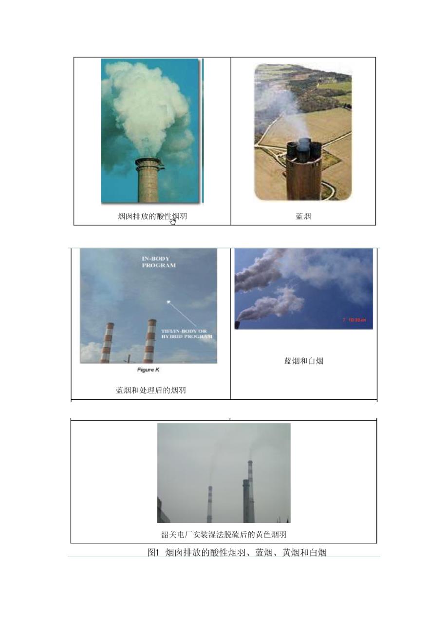 2355003770燃煤电厂环保新问题蓝烟黄烟现象的研究及其对策_第3页