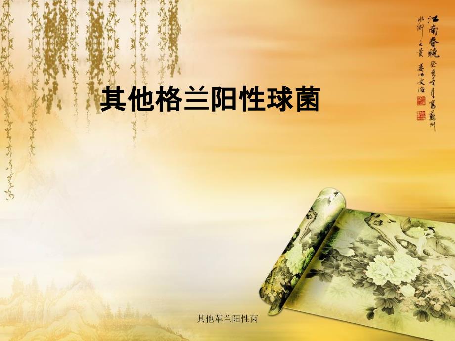 其他革兰阳性菌课件_第1页