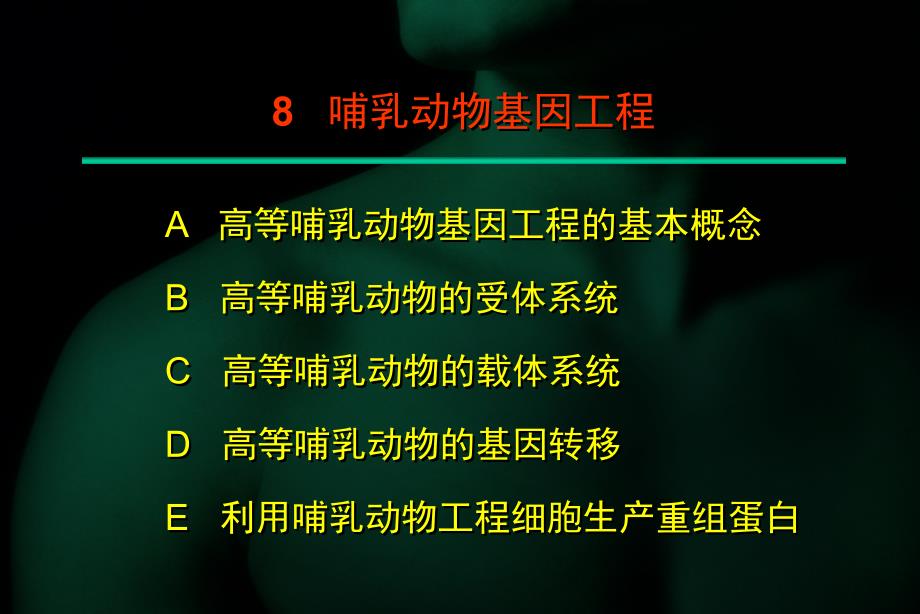 8哺乳动物表达系统_第3页