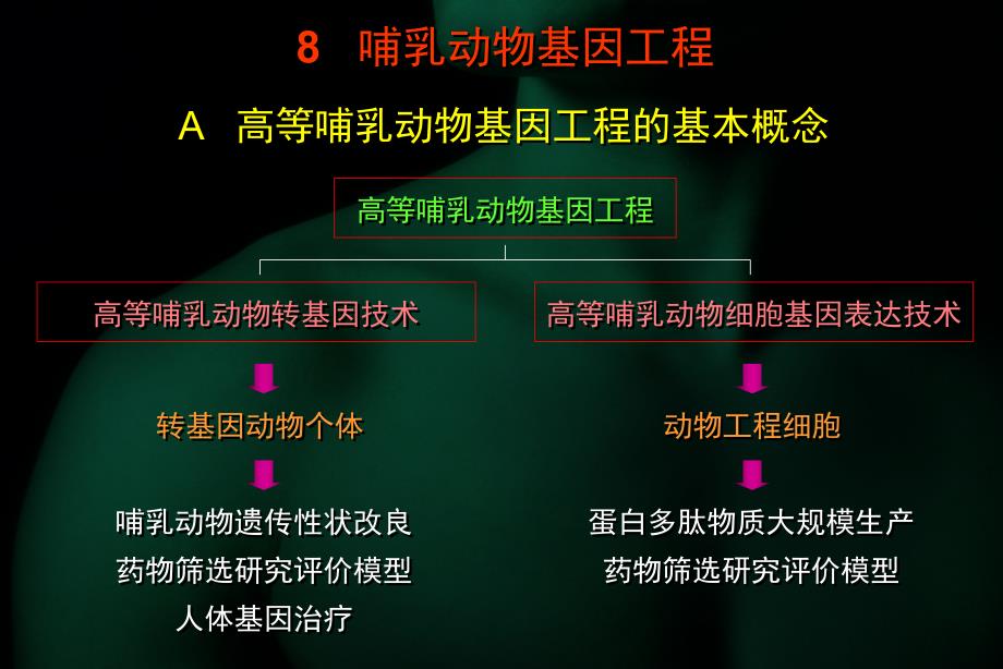 8哺乳动物表达系统_第4页