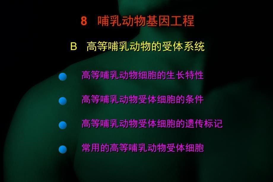 8哺乳动物表达系统_第5页