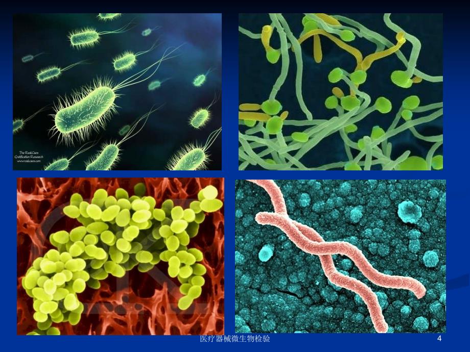 最新医疗器械微生物检验PPT_第4页