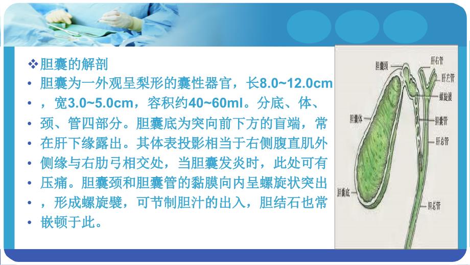 胆囊结石专题宣讲培训ppt课件_第2页