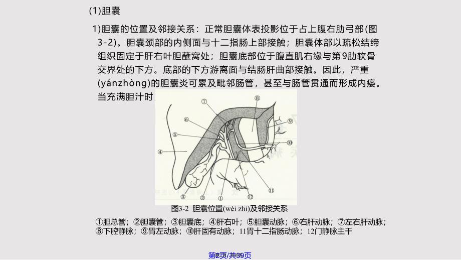 B超胆系疾病实用教案_第2页