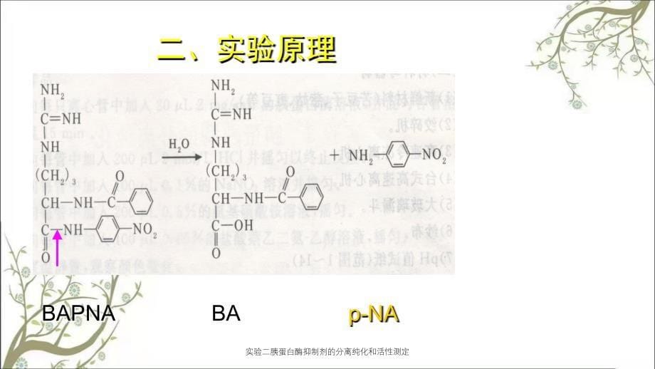 实验二胰蛋白酶抑制剂的分离纯化和活性测定_第5页