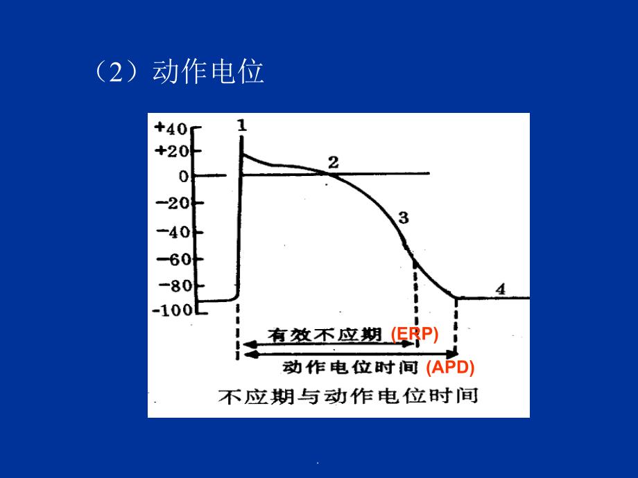 急诊心律失常的处理PPT演示课件_第4页