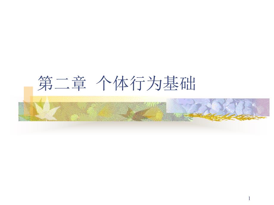 个体行为基础_第1页