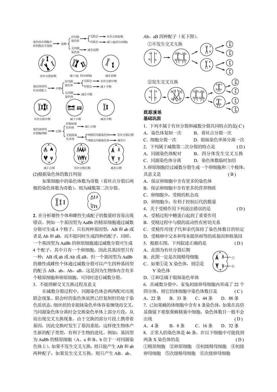 第2章 基因和染色体的关系.doc_第3页